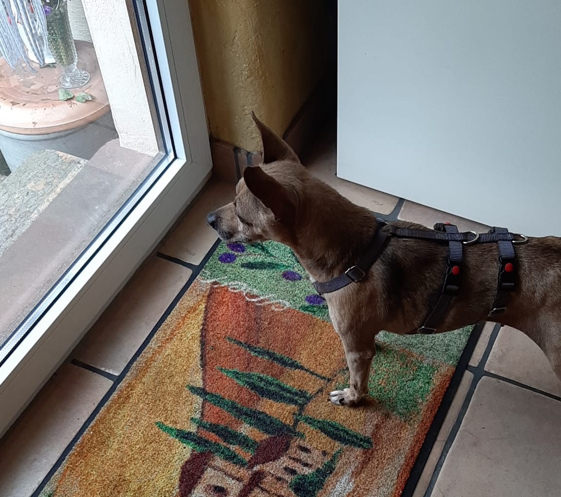 Ria