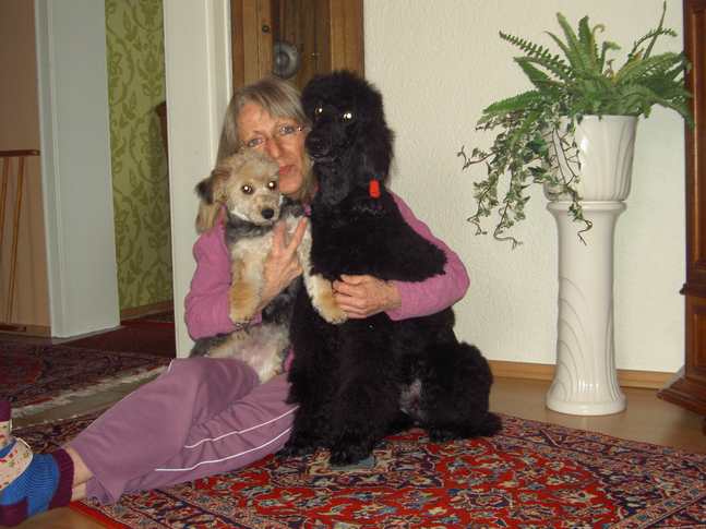 Jule