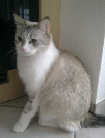 Josephine