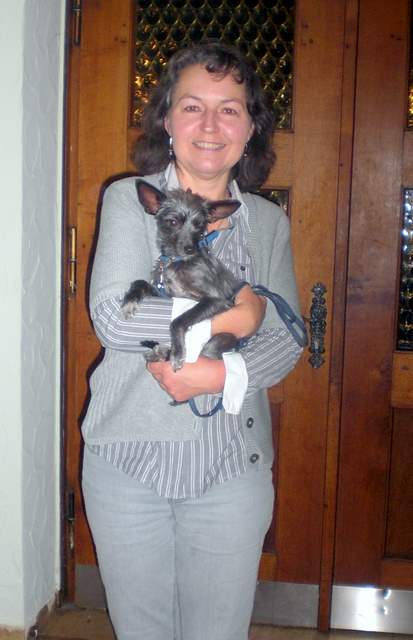 Wilma