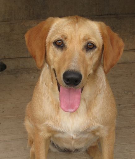 Matilde