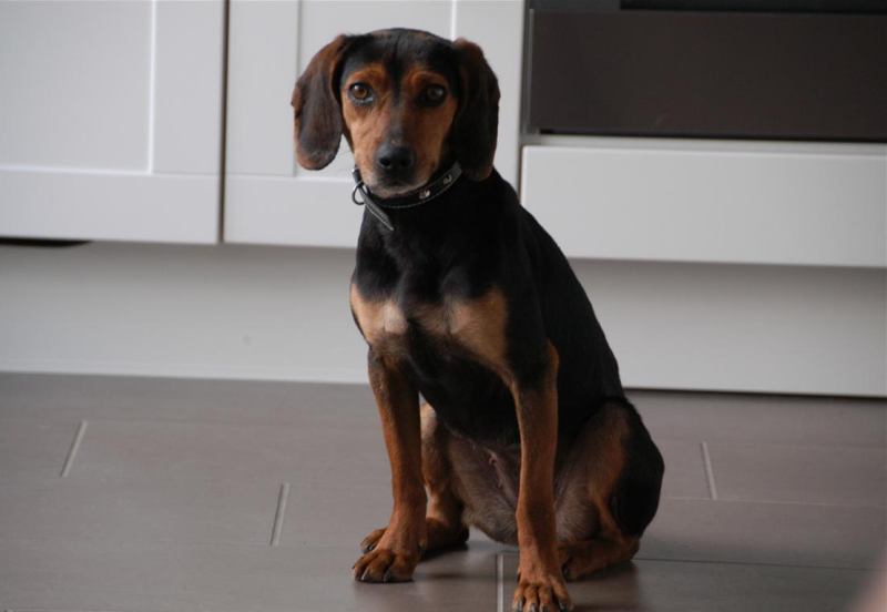 Gretel