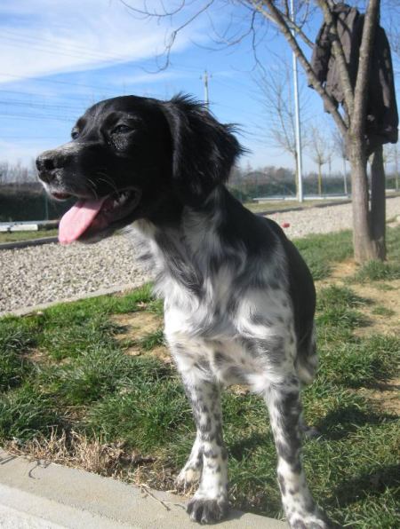 Celia