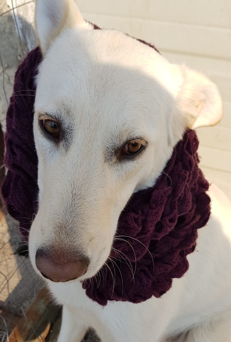 Molly