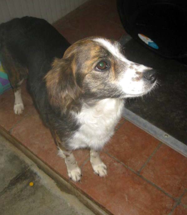 Martina