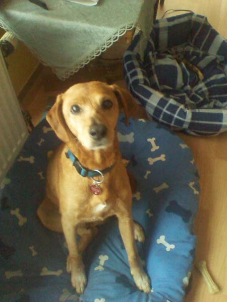 Balu