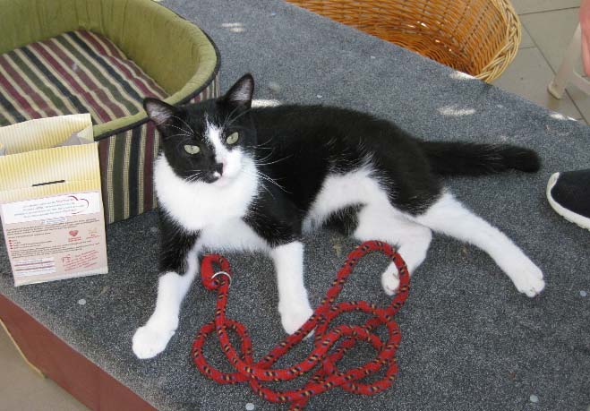 Oskar