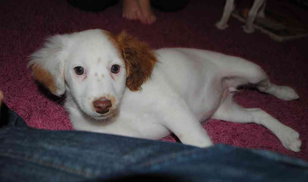Sally