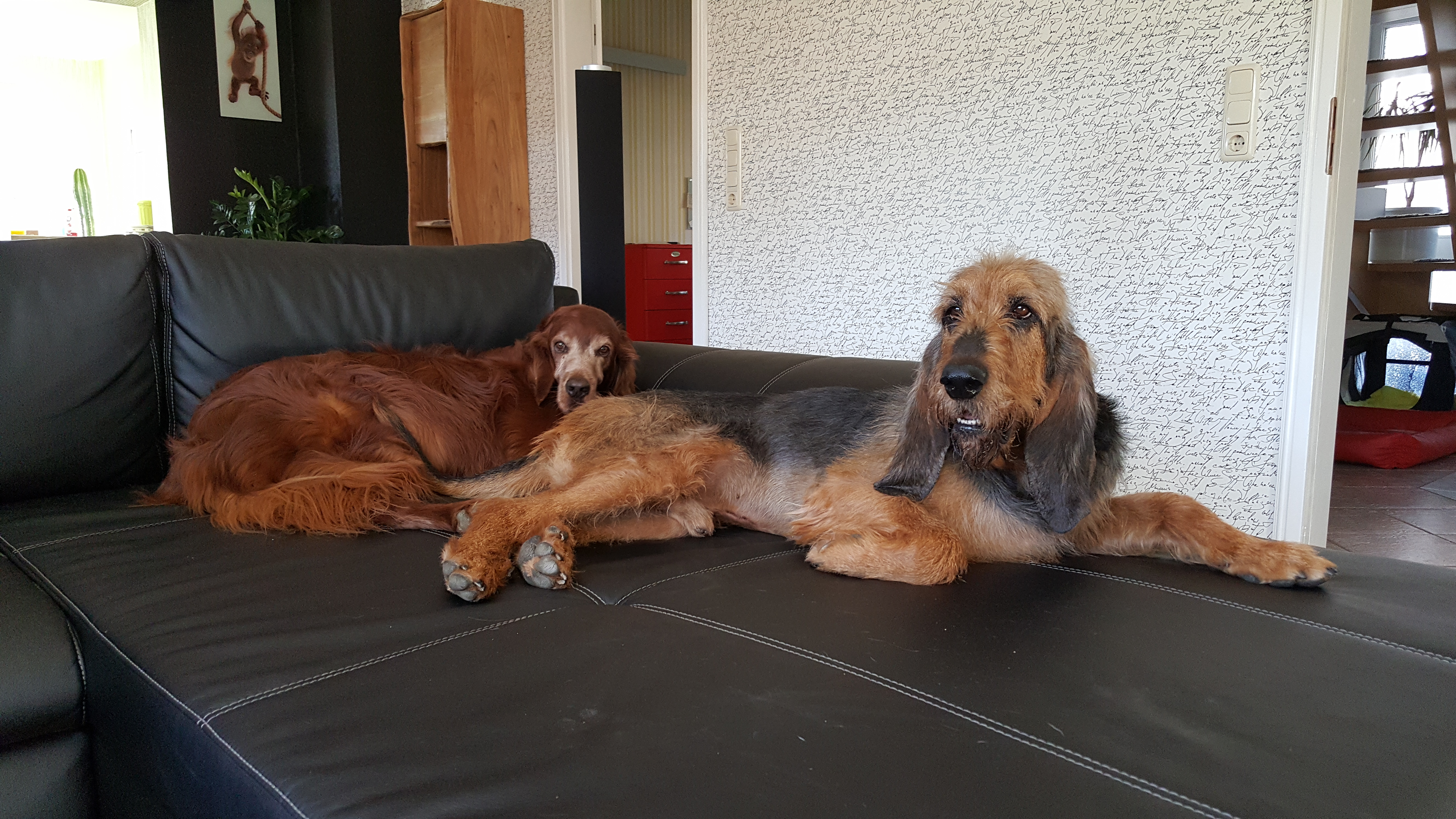 Athos „Otto“