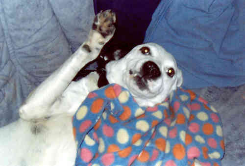 Paco