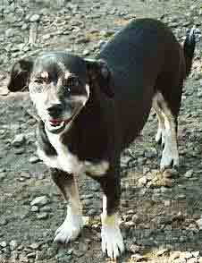 Betty