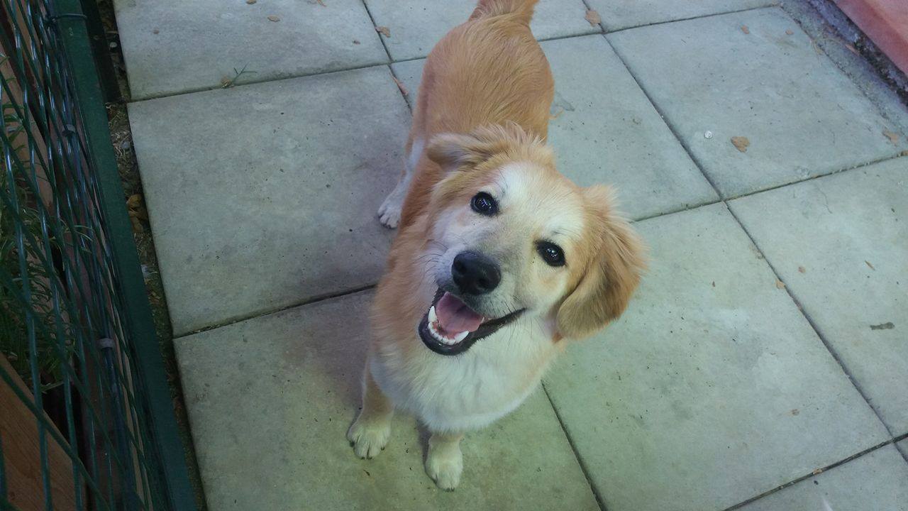 Teo