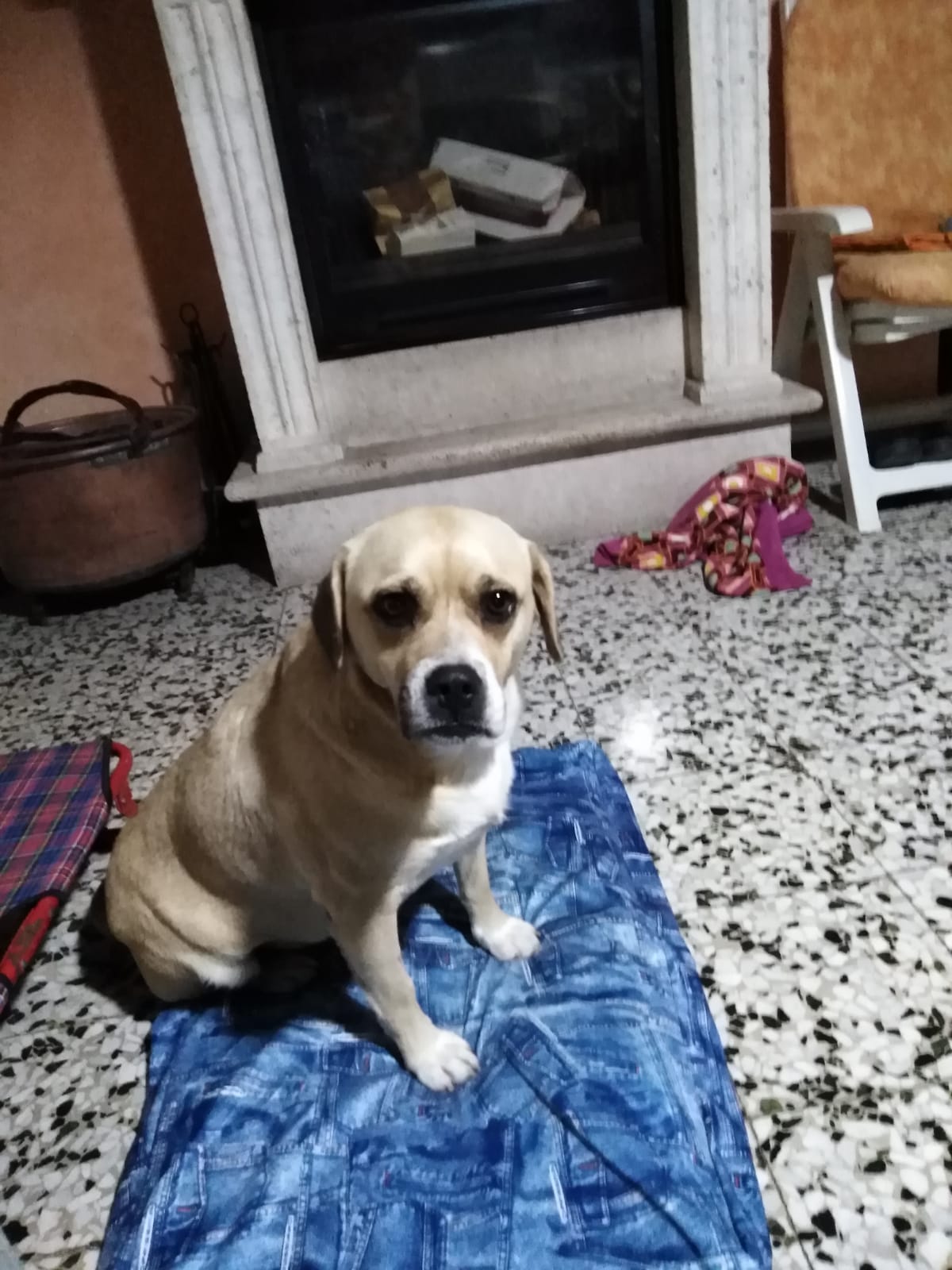 Luna (Sugar)