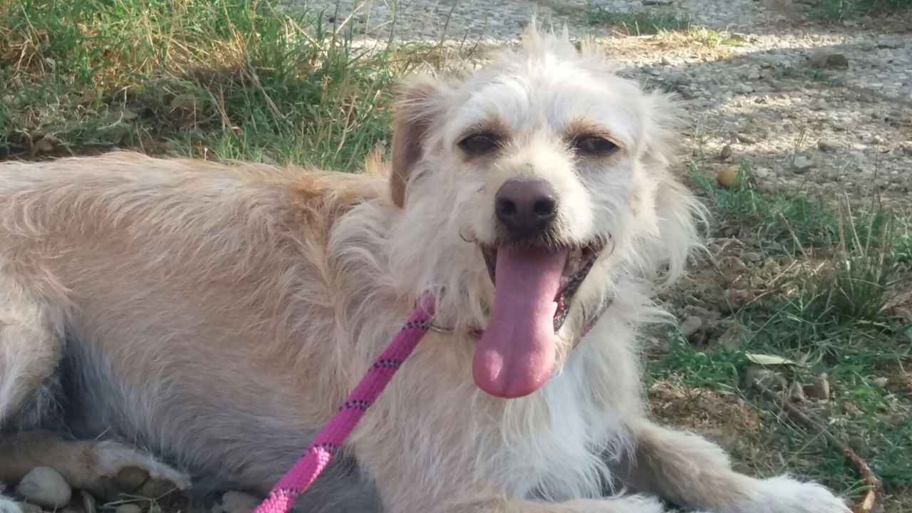 Ella