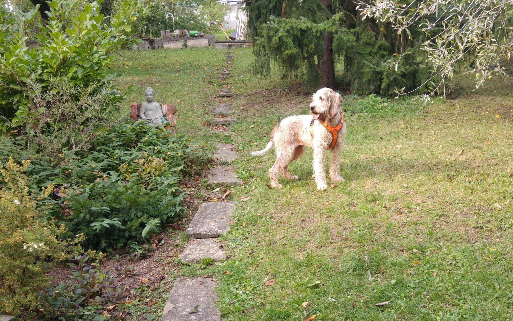 Lilly