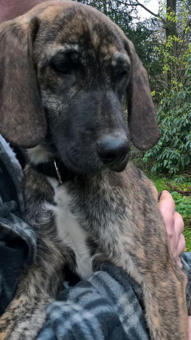 Kira
