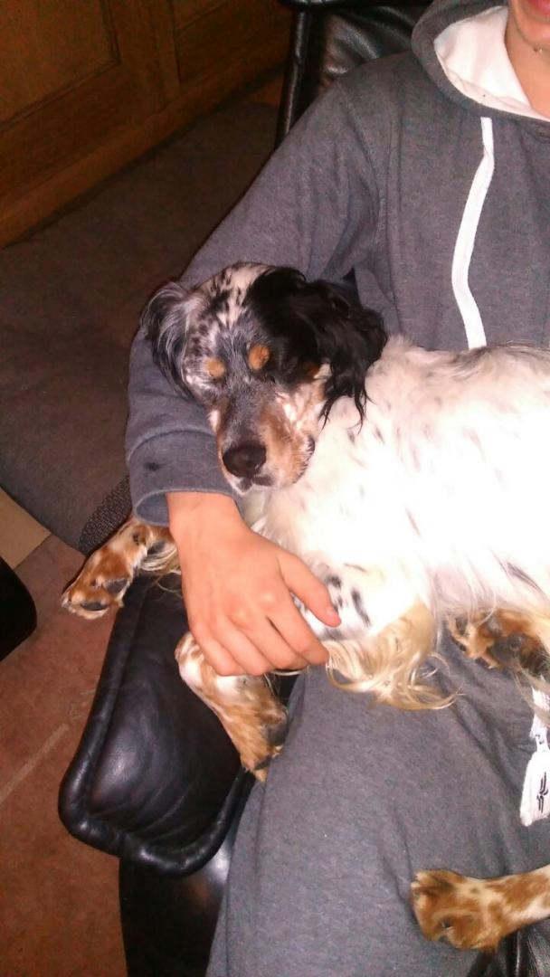 Jack
