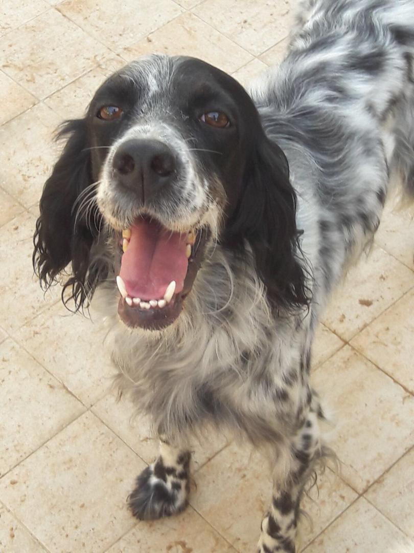 Berta
