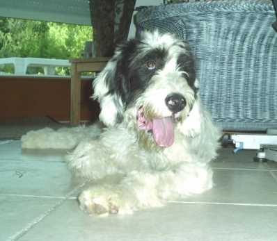 Megghie