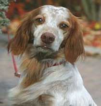 Benny