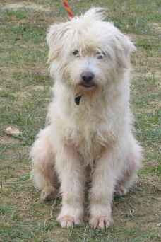 Bimba