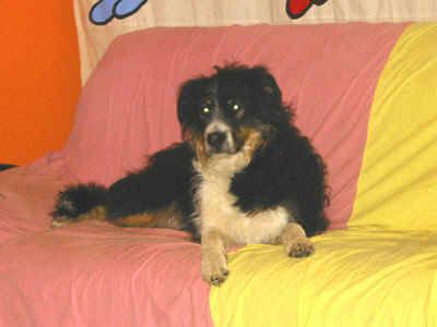 Chester