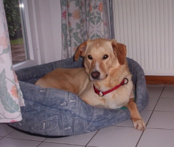 Wilma