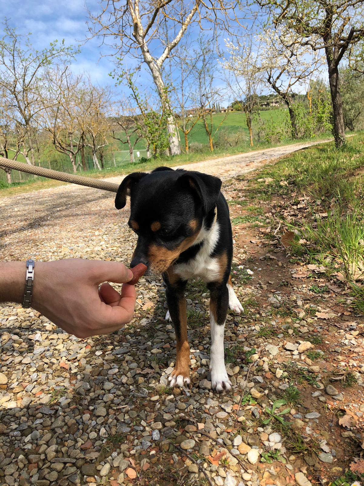 Luca