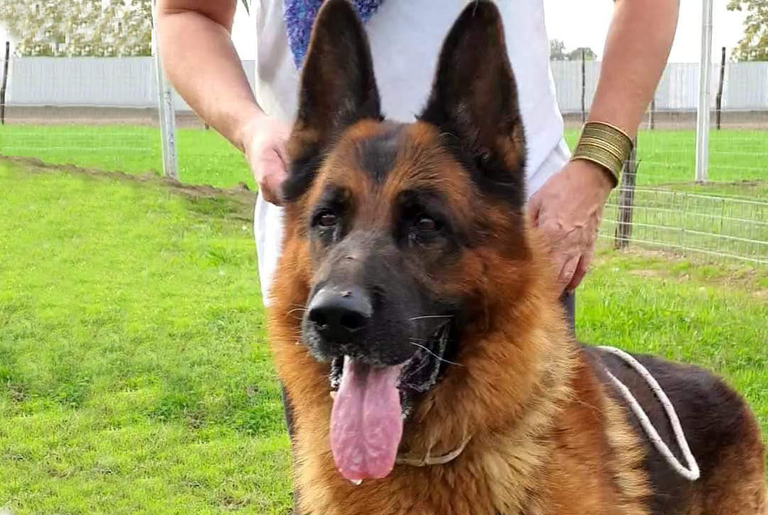 Axel