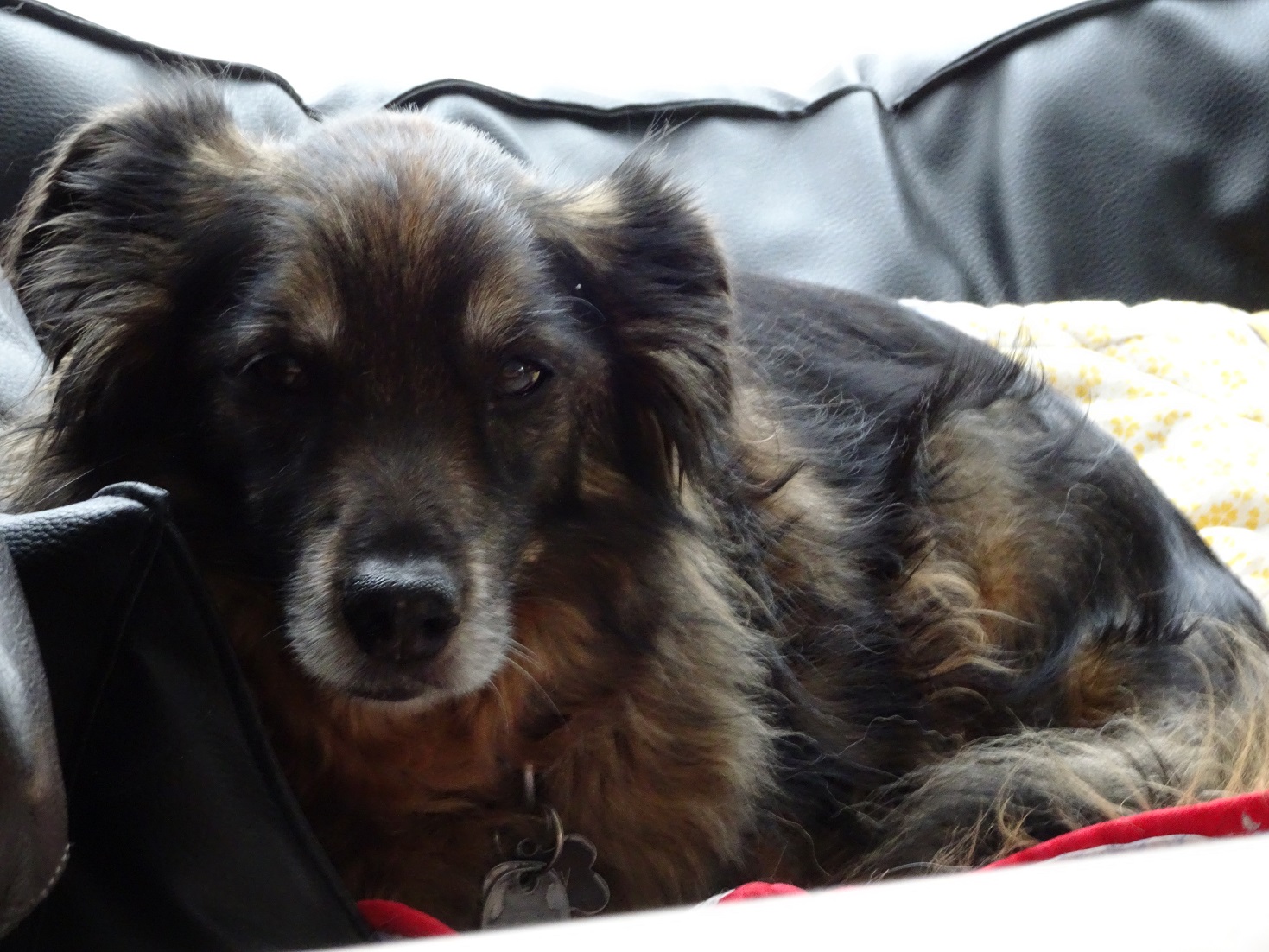 Billy