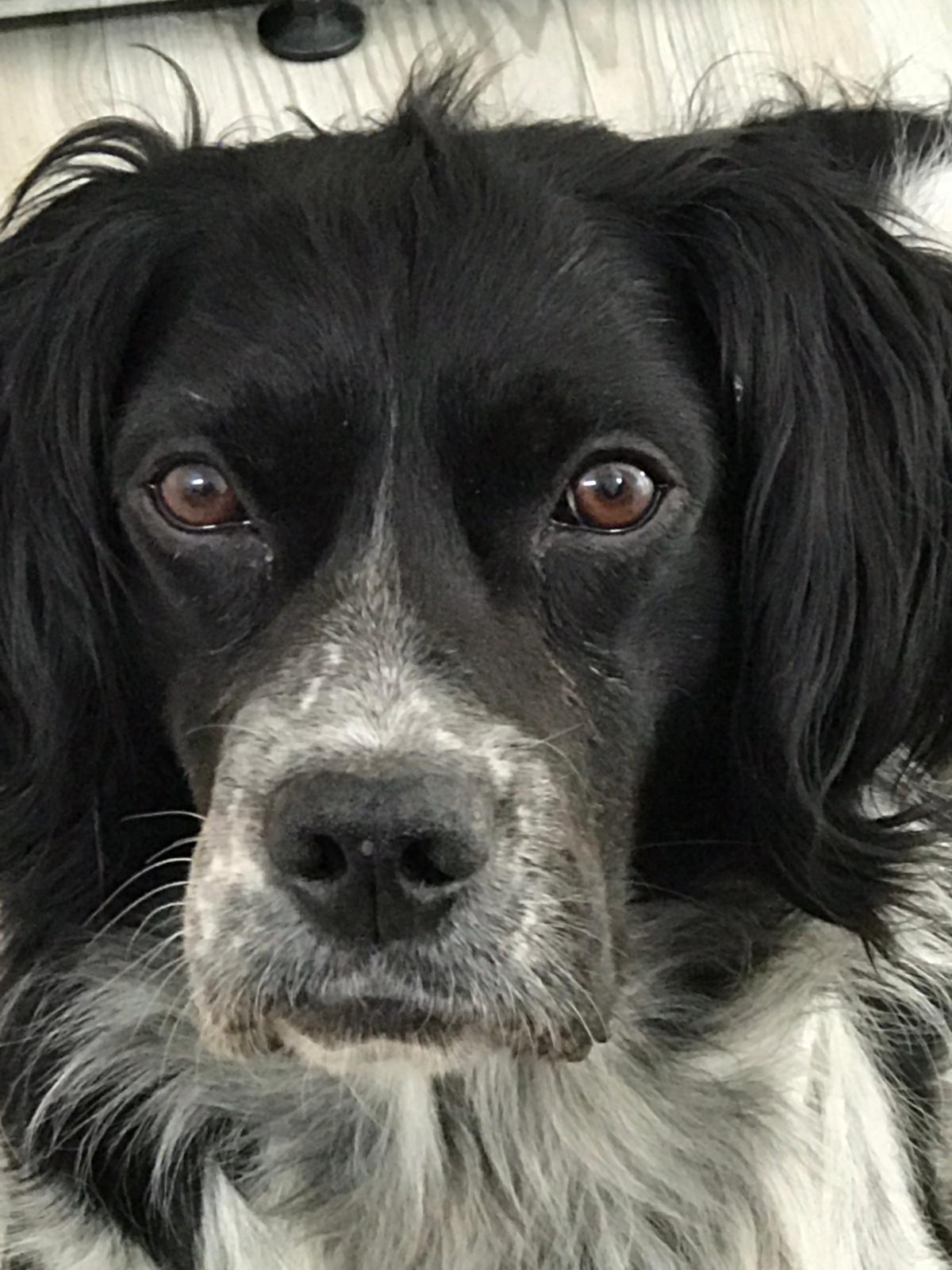 Charly