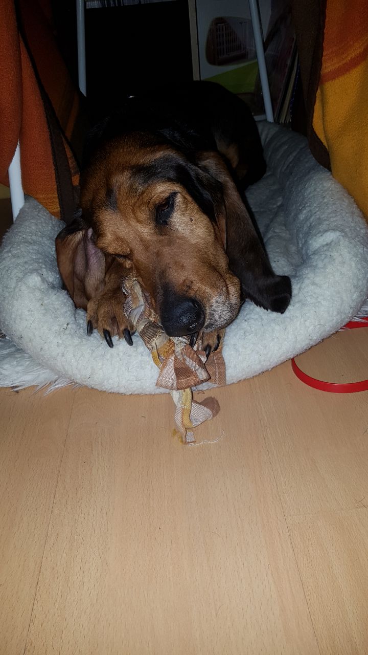 Wilma