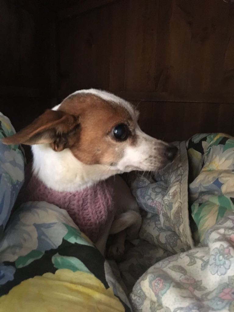Lilli