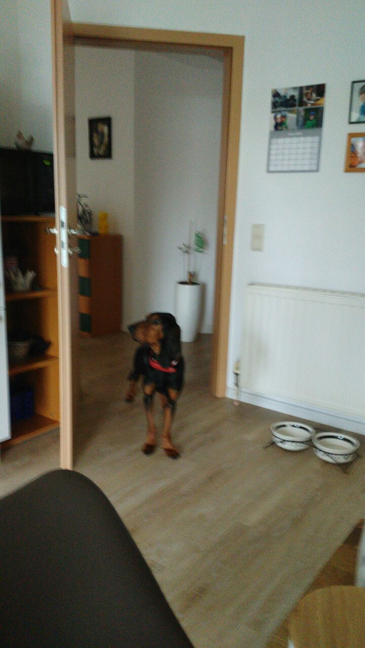 Bruno