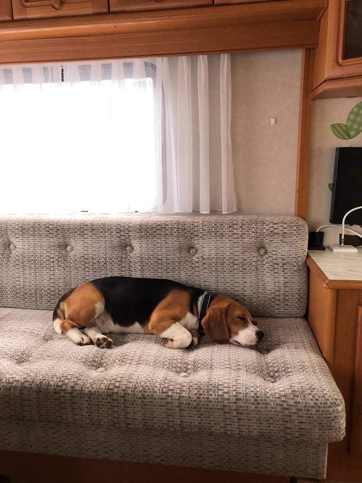 Cody