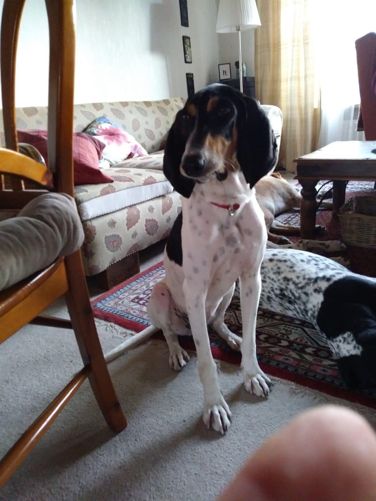 Gina