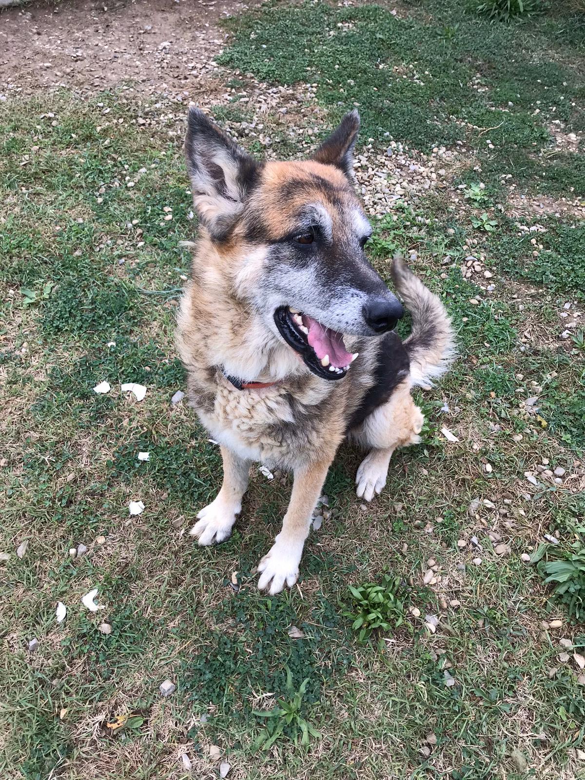Aldo