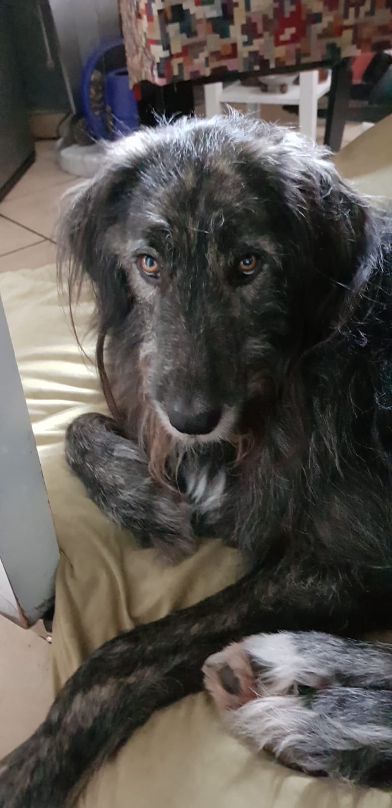 Erik