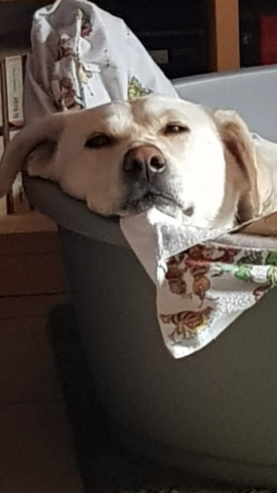 Artù