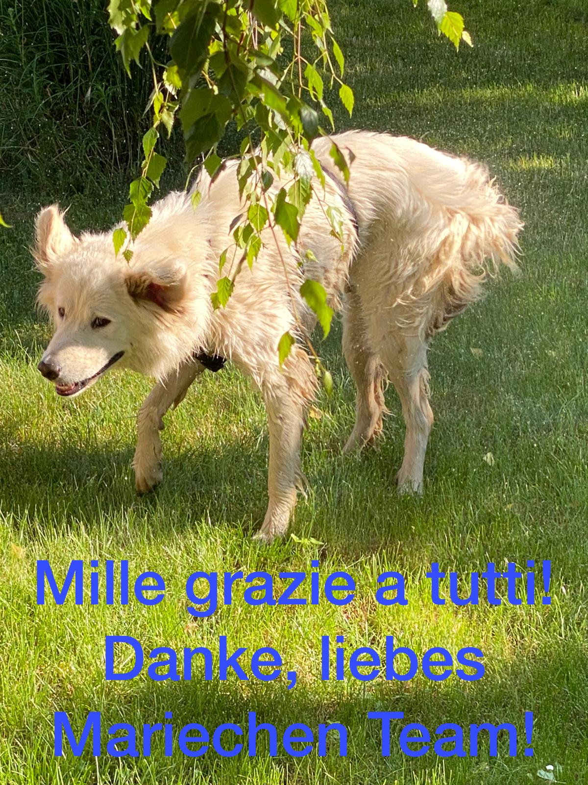 Grazia