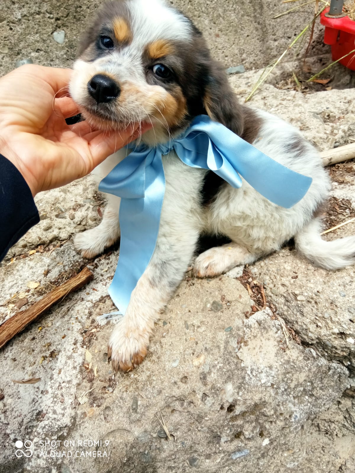 Roberto