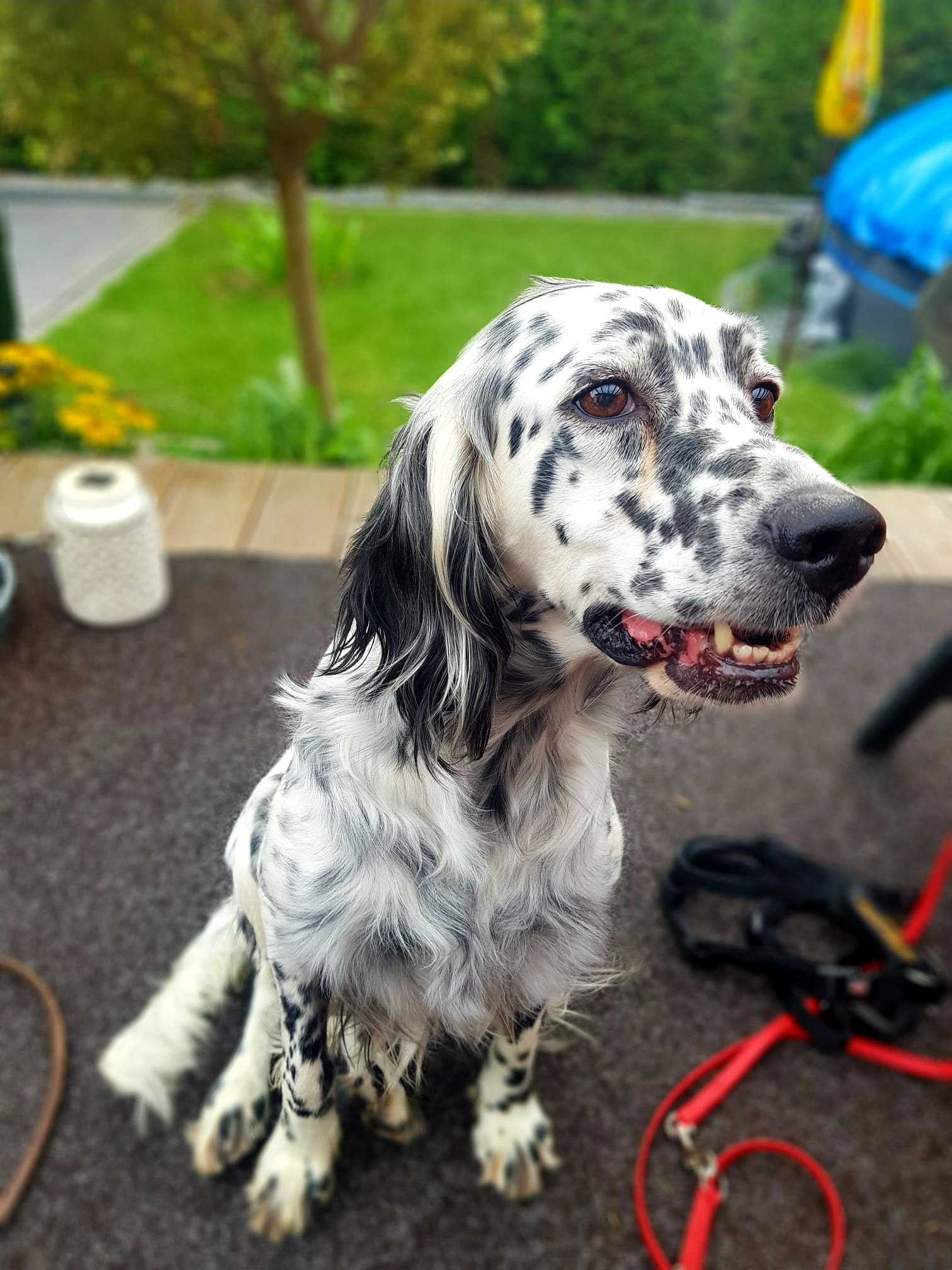 Lena