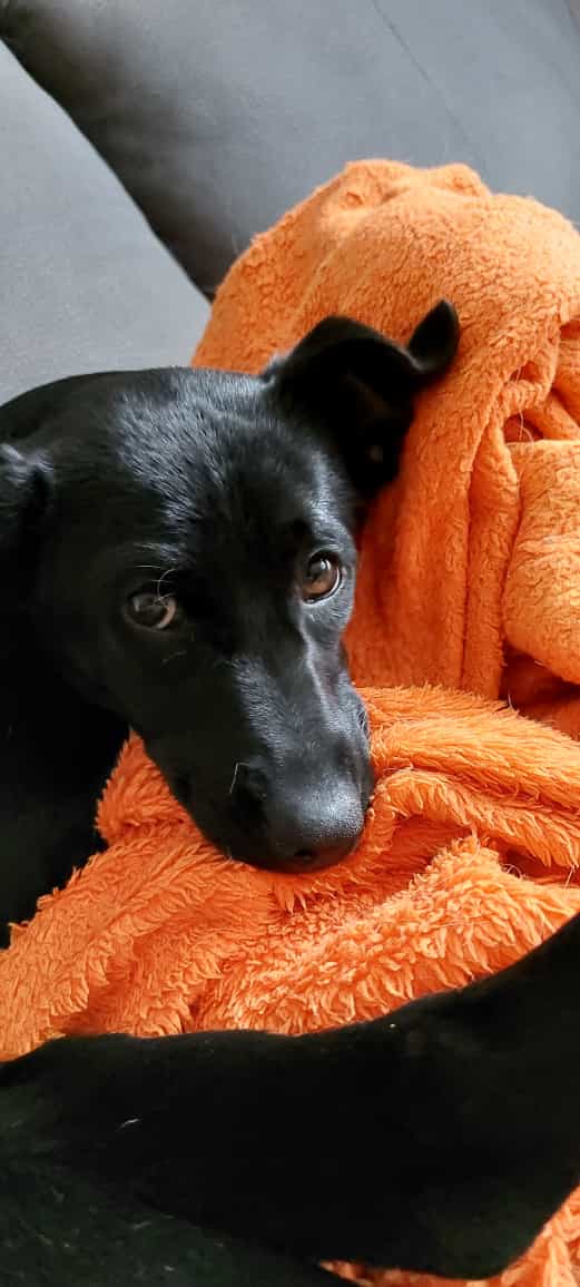 Fiona