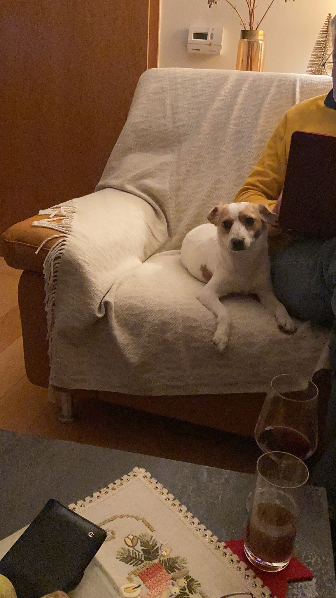 Kira (jetzt Toffee)