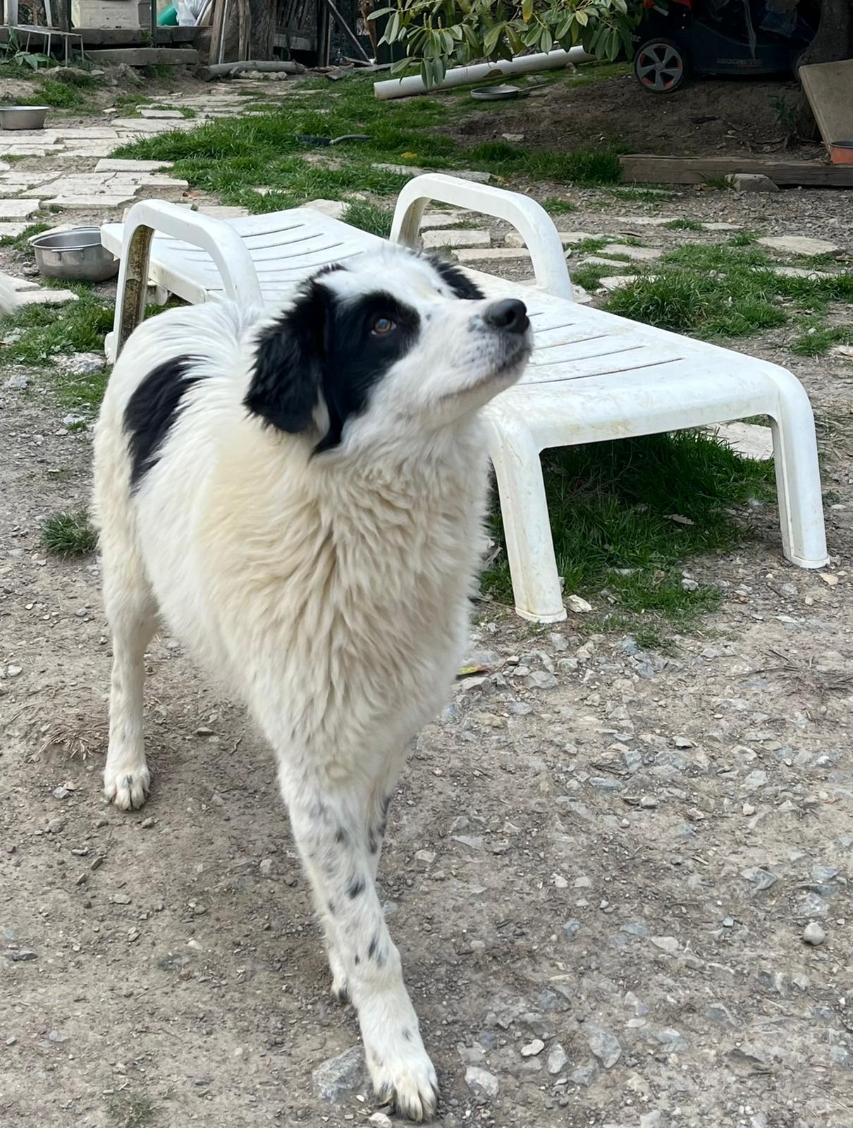 Barbara