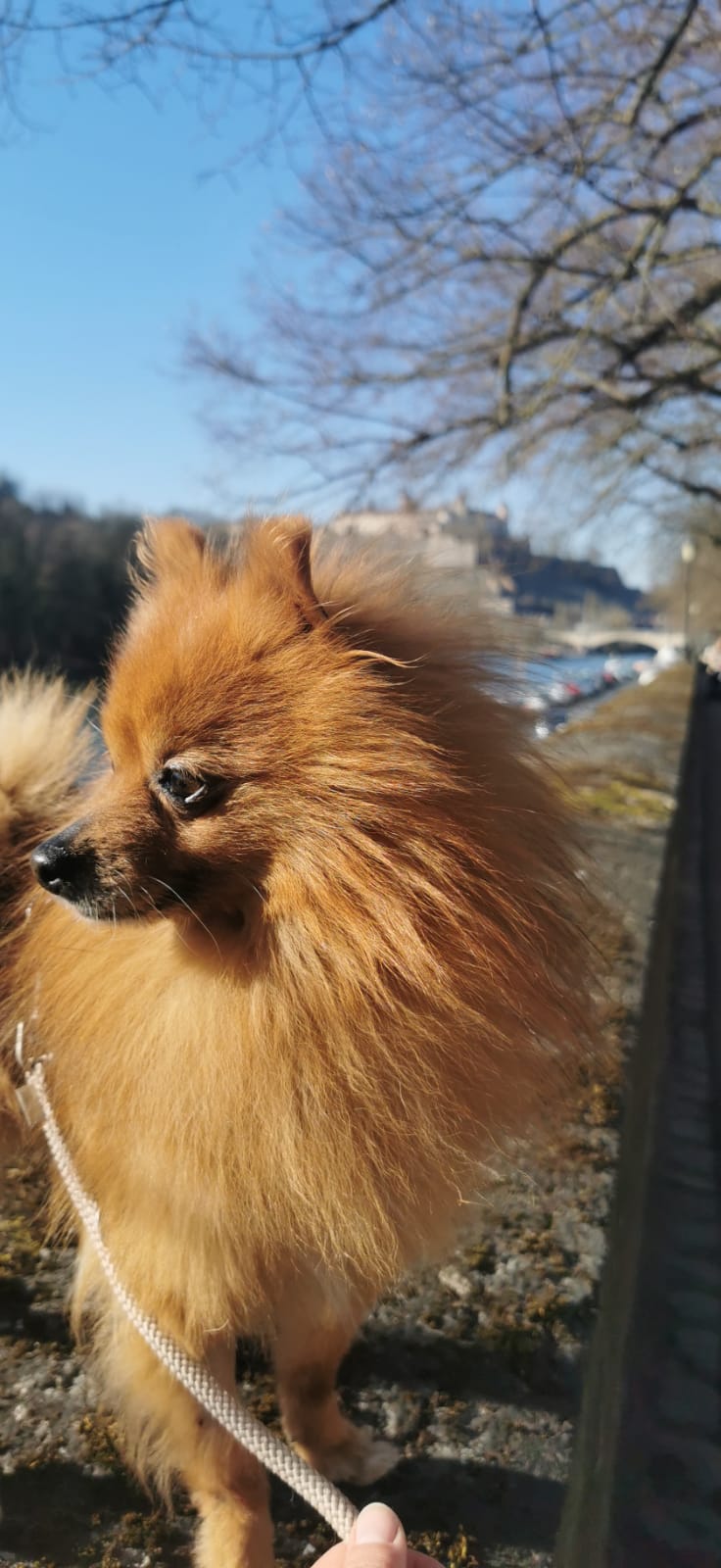 Charlie