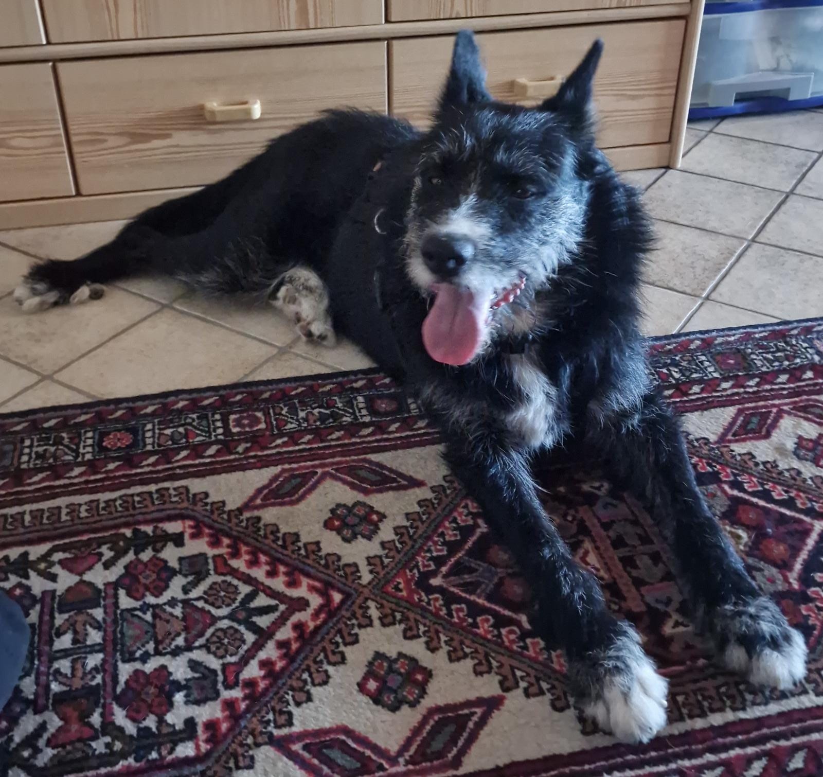 Ciro