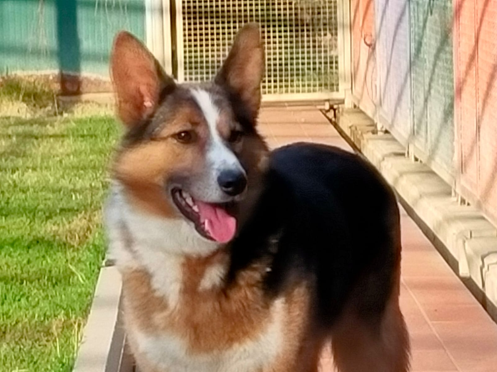 Django