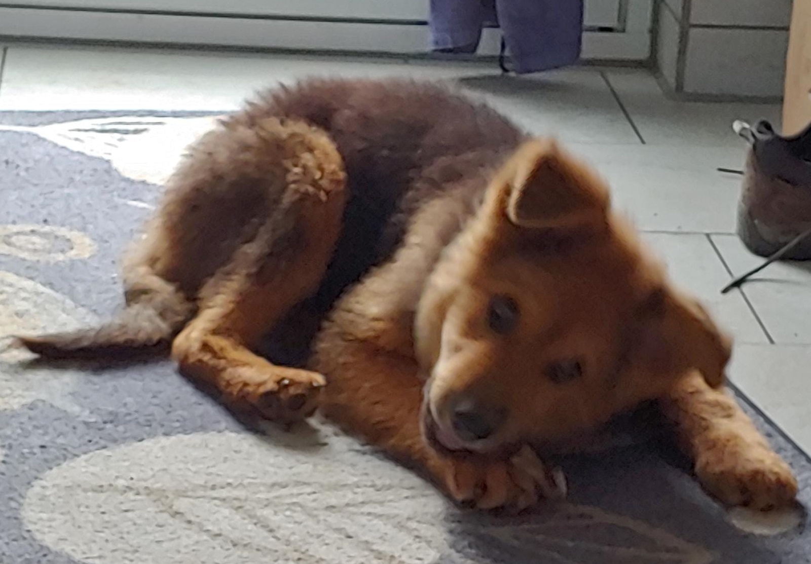 Leni