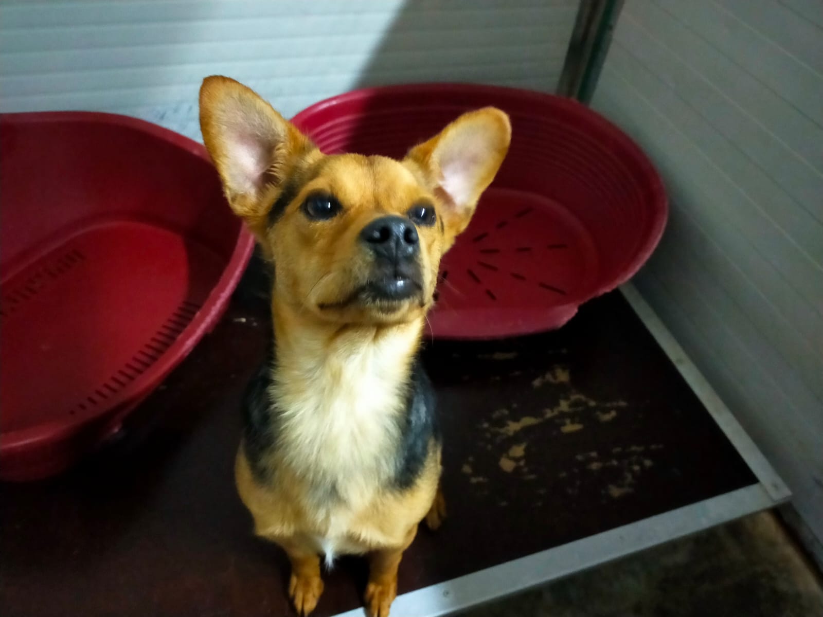 Ben